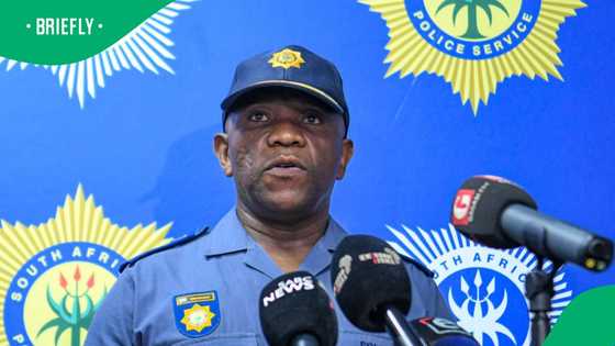 “Ramaphosa should just step down”: SA discusses alleged crime syndicates effects on Mzansi average person