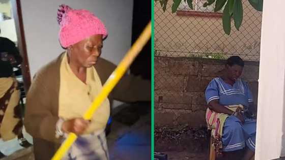 TikTok video captures cute moment gogo faces consequences of grooving hard