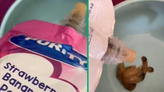Cape Town mother opens Purity pouch with nasty chunks in TikTok video, Tiger Brands explains spoiled product