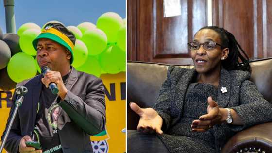 Mzwandile Masina calls for Judge Mandisa Maya to make it unconstitutional for politicians to work after 65