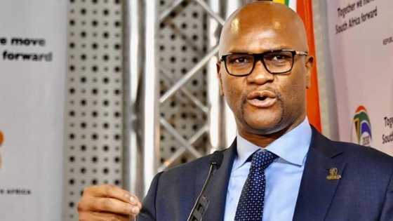 Nathi Mthethwa's Arts Department's proposed R30m orchestra project gets mixed reactions: "Wasting money"