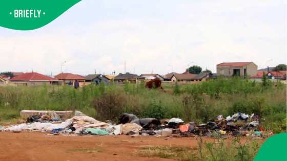 No Sports Complex, millions gone: Tribunal orders repayment in Soweto grant scandal