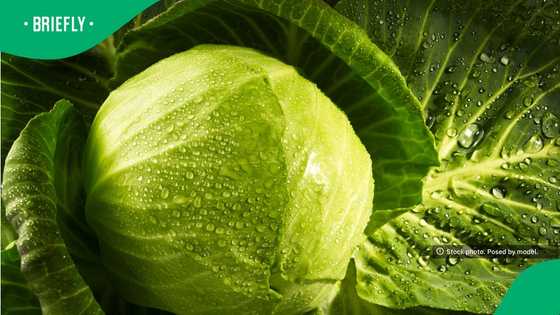R49.99 cabbage at Cape Town Spar sparks outrage over food prices