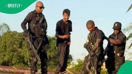 RUSA claims to find black mamba over 2m long in KZN man's home, SA floored by video