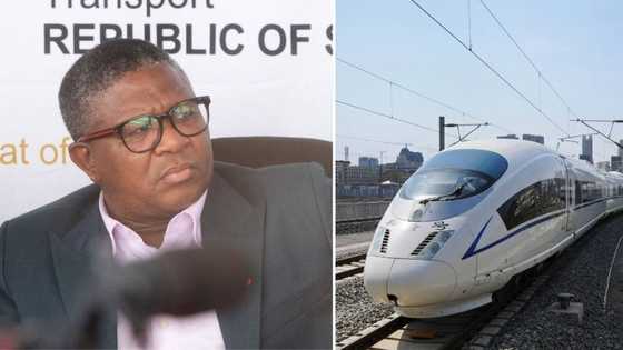 Minister of Transport Fikile Mbalula said plans are in motion to introduce high speed trains in South Africa