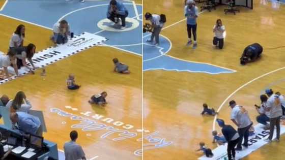 Baby crawling race gets 3.8M views on TikTok, intense competition with uncooperative infants fascinates peeps