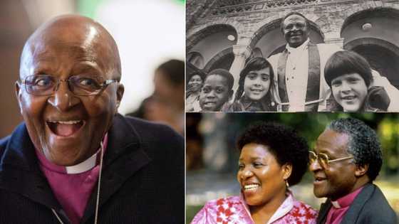 Desmond Tutu: Age, children, education, quotes, foundation, apartheid, awards