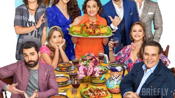 Keeping My Family Together telenovela: cast, characters, plot, full story, episodes