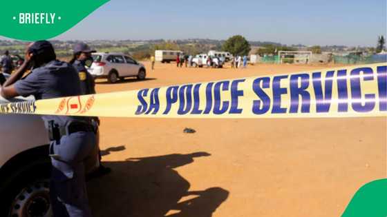 Limpopo mob justice: Zimbabwean man dies after being accused of cable theft, SA weighs in