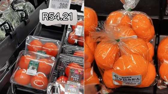 TikTok video of SA woman shopping in Japan amuses Mzansi as she buys 4 tomatoes for R54: “R10 at the robot”
