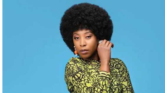 The biography of Chi Mhende: Her life, nationality, partner, Queen Sono, Generations and profile