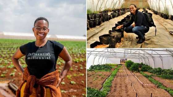 Halala: Woman, 29, with no background in agriculture starts farming
