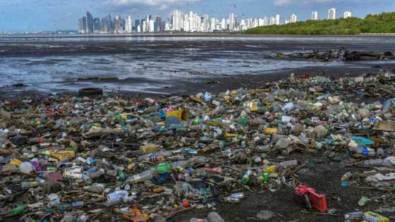 Oceans saved us, now we can return the favour