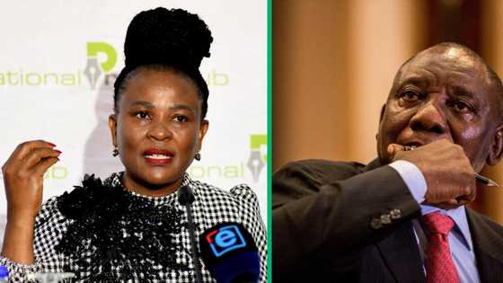 Suspended Public Protector Busisiwe Mkhwebane tells President Cyril Ramaphosa she's going back to work