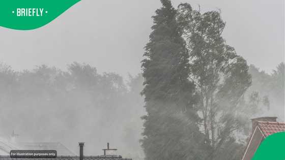 South Africa's winter ends as thunderstorms expected to hit 4 provinces