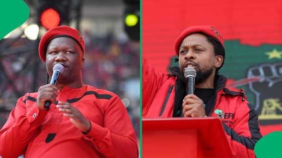 EFF Secretary General Marshall Dlamini denies Mbuyiseni Ndlozi barred from elective conference