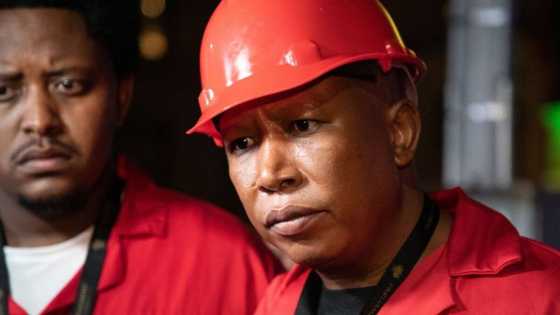 Julius Malema does not want to apologise to JSC, attempts to block R500k legal bid