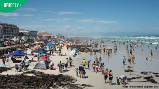 Heritage Day weather: Warm conditions expected as rain hits parts of SA