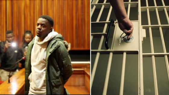 Soweto man who murdered and dismembered ex-girlfriend handed life sentence, family welcomes hefty jail term