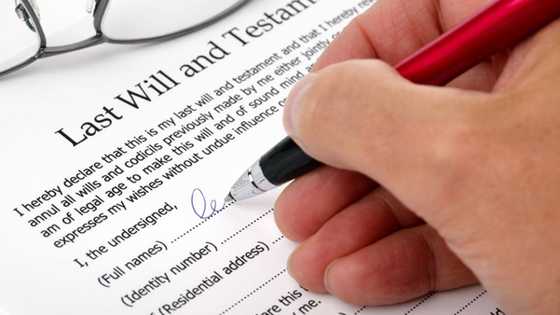 Top details about the letter of authority South Africa