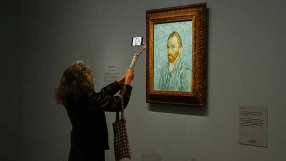 AI Vincent Van Gogh says you're wrong about his ear