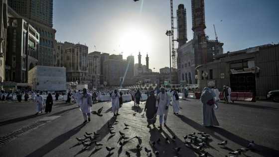 Sweat, pray, love: extreme heat hounds hajj