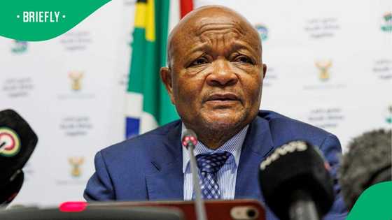 Senzo Mchunu faces Public Protector probe over police interference claims