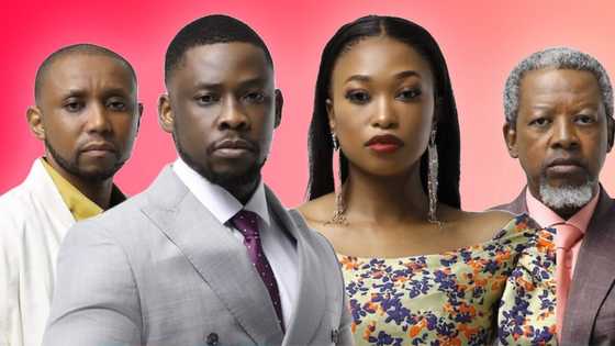 Mzansi Magic: My Brother's Keeper's cast, plot summary, full story, trailer