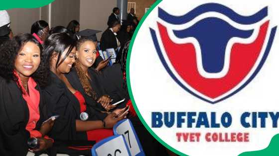 Buffalo City College application, useful documents, courses and fees