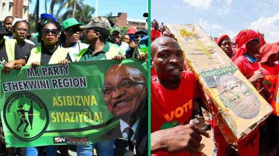 MK Party could get more votes than Economic Freedom Fighters, survey finds