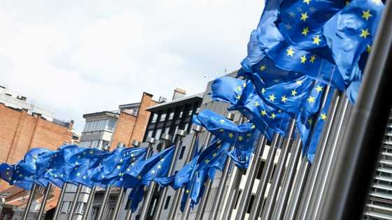 EU bids to clean up product 'greenwashing' mess