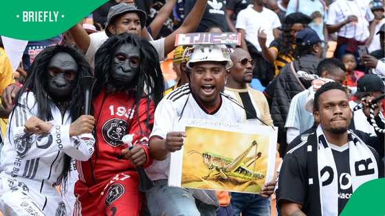 Fans demand a clean-out on who should follow José Riveiro out the door at Orlando Pirates