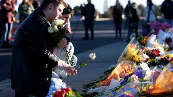 'I knew we were next': Barman tells of Colorado club shooting horror