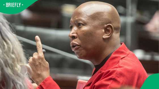 Julius Malema questions Senzo Mchunu’s three different answers about Vusimuzi Matlala's affidavit
