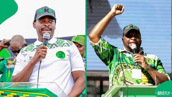 Bongani Baloyi says Floyd Shivambu inflated his value to MK Party, SA agrees it caused his downfall