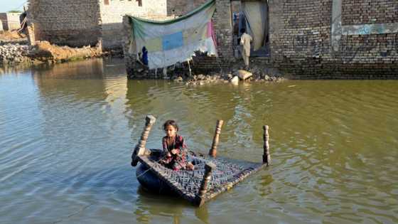 Floods to drag up to 9 million Pakistanis into poverty: World Bank