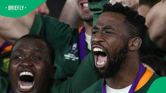 Springboks’ golden era under fire as drug-testing row erupts