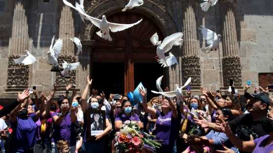 Mexican mother of autistic boy dies after being set on fire
