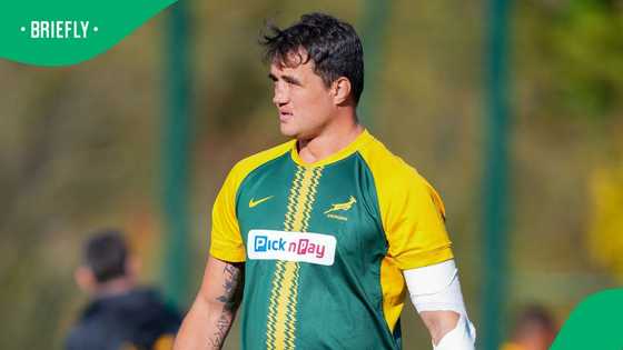 Franco Mostert’s life beyond rugby: Inside his farm business near Crocodile River