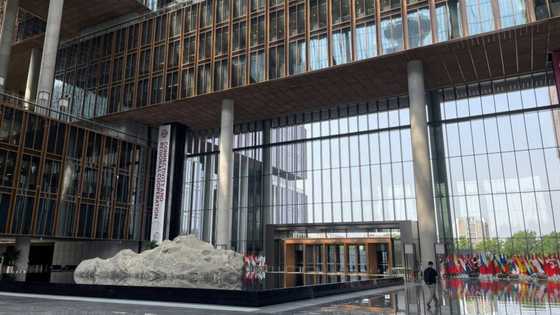 AIIB serves China's Communist Party: Canadian former executive