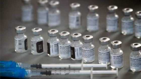 8,600 people in Germany to vaccinated again after nurse swapped vaccine with saltwater