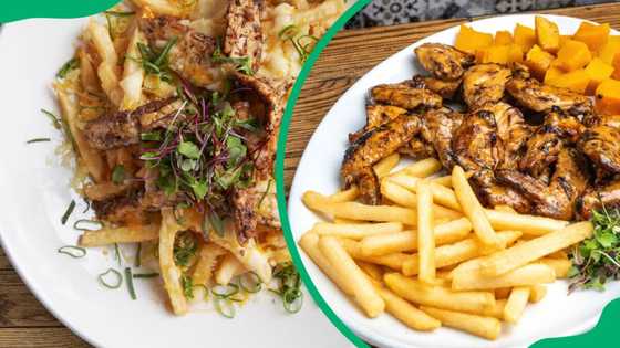 Parrots menu and prices in South Africa (updated for 2024)