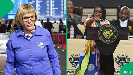 DA lays criminal charges against Higher Education Minister, decision sparks division on social media
