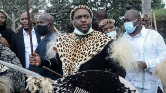 Prince Zulu: "King Misuzulu’s blood is bigger than we think"