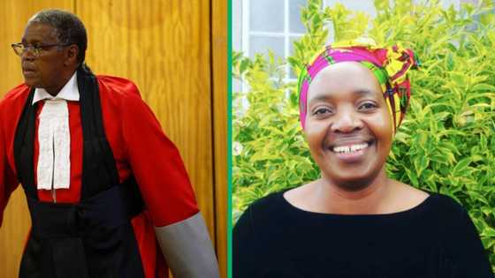 Senzo Meyiwa trial: Video of Advocate Zandile Mshololo and Judge Mokgoatlheng goes viral