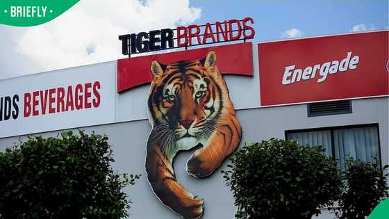 Tiger Brands sells iconic Beacon brand as part of major business shake-up