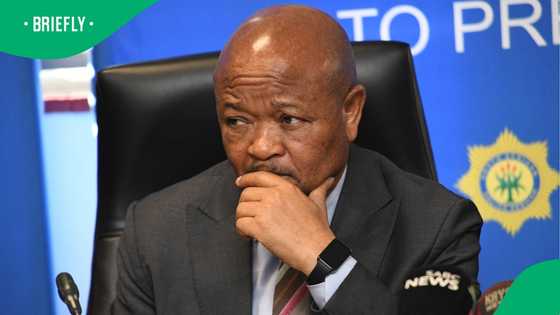 Senzo Mchunu breaks his silence, SA weighs in as Police Minister welcomes Commission of Inquiry