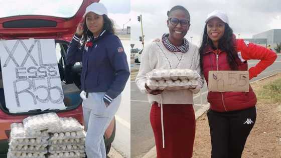 Chasing the bag: Local woman's 'eggciting' egg hustle inspires Mzansi