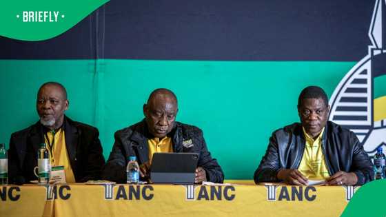Fikile Mbalula under pressure as calls for DA to be removed from the GNU increase