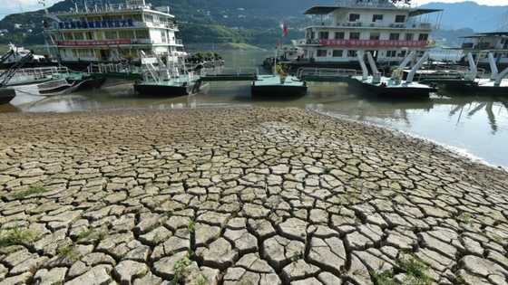 Chinese city dims lights in heatwave power crunch